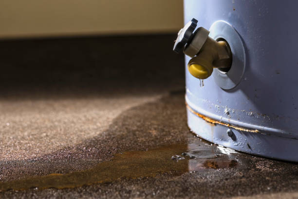 Best 24-hour water damage restoration  in Latimer, MS