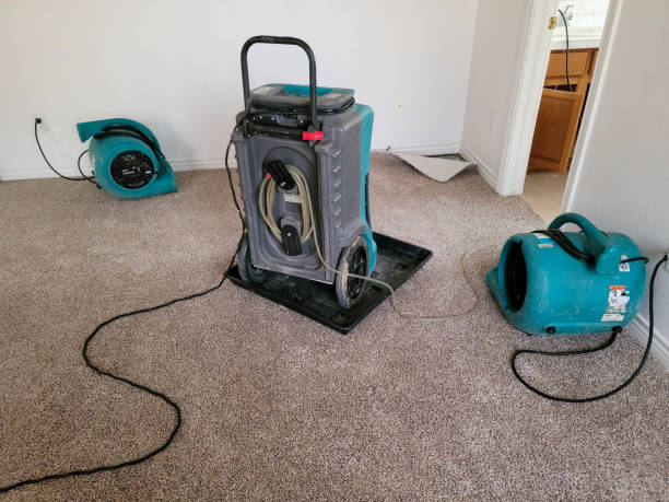 Best Flood damage cleanup  in Latimer, MS