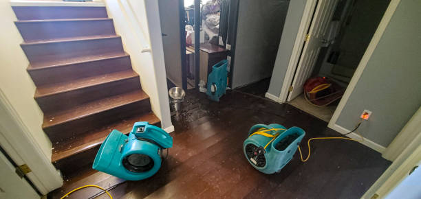  Latimer, MS Water damage restoration Pros