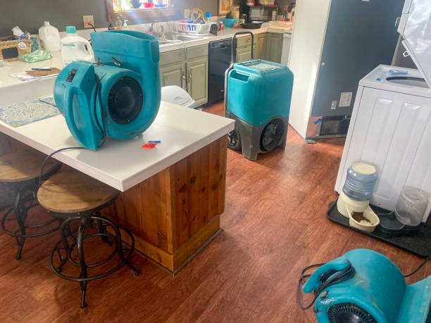 Best Water damage cleanup near me  in Latimer, MS