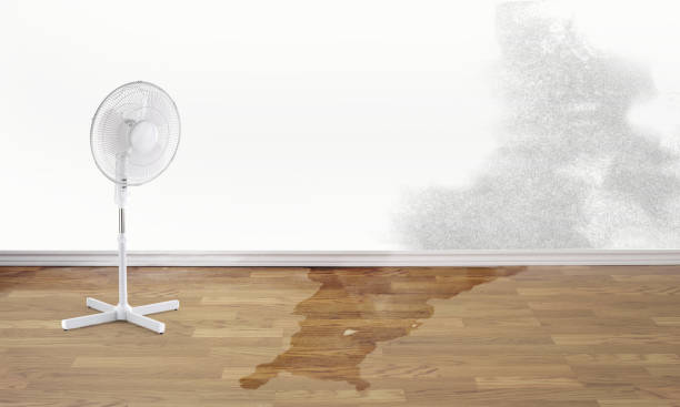24/7 water damage repair in MS