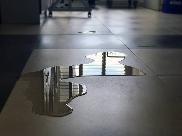 Local water damage restoration in MS