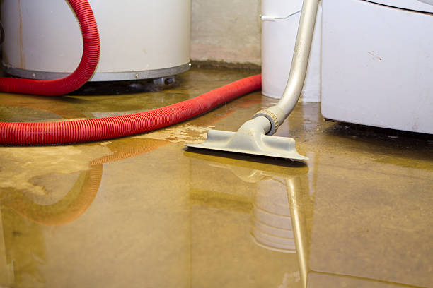 Best Local water damage restoration  in Latimer, MS