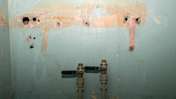 Best Local water damage restoration  in Latimer, MS