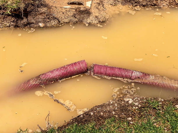 Best Water damage restoration near me  in Latimer, MS