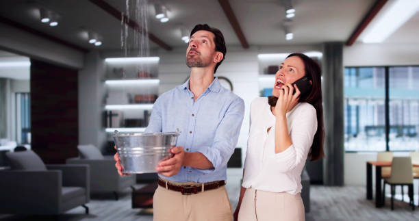 Best Professional water damage repair  in Latimer, MS